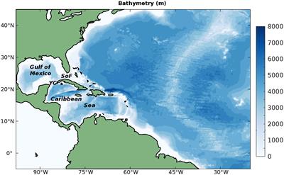 Influence of the Caribbean Sea eddy field on Loop Current predictions